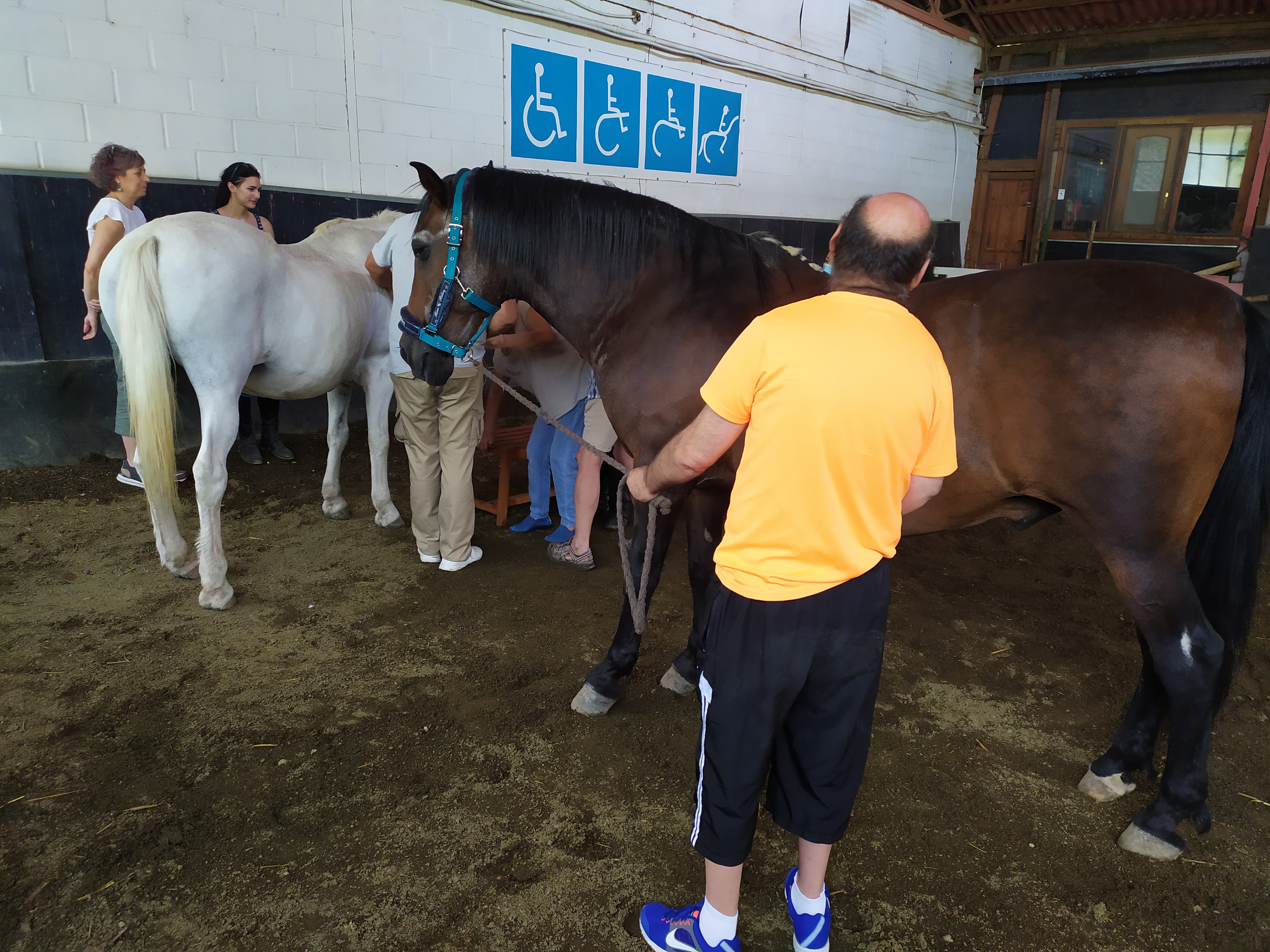 Equinoterapia en Navarra: Deporte adaptado e inclusivo y cuidado mutuo